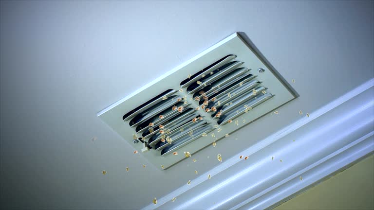 Best Local Air Duct Cleaning Services  in Troy, NY